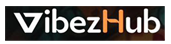 Vibezhub